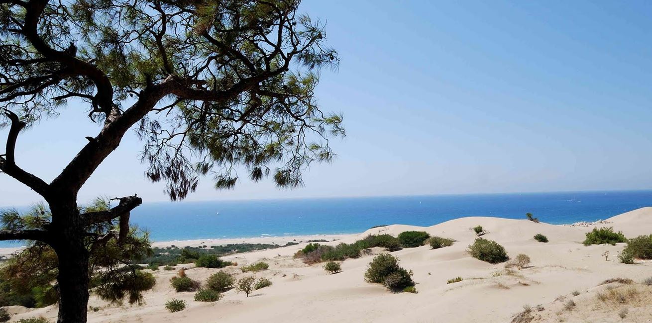 Patara Beach