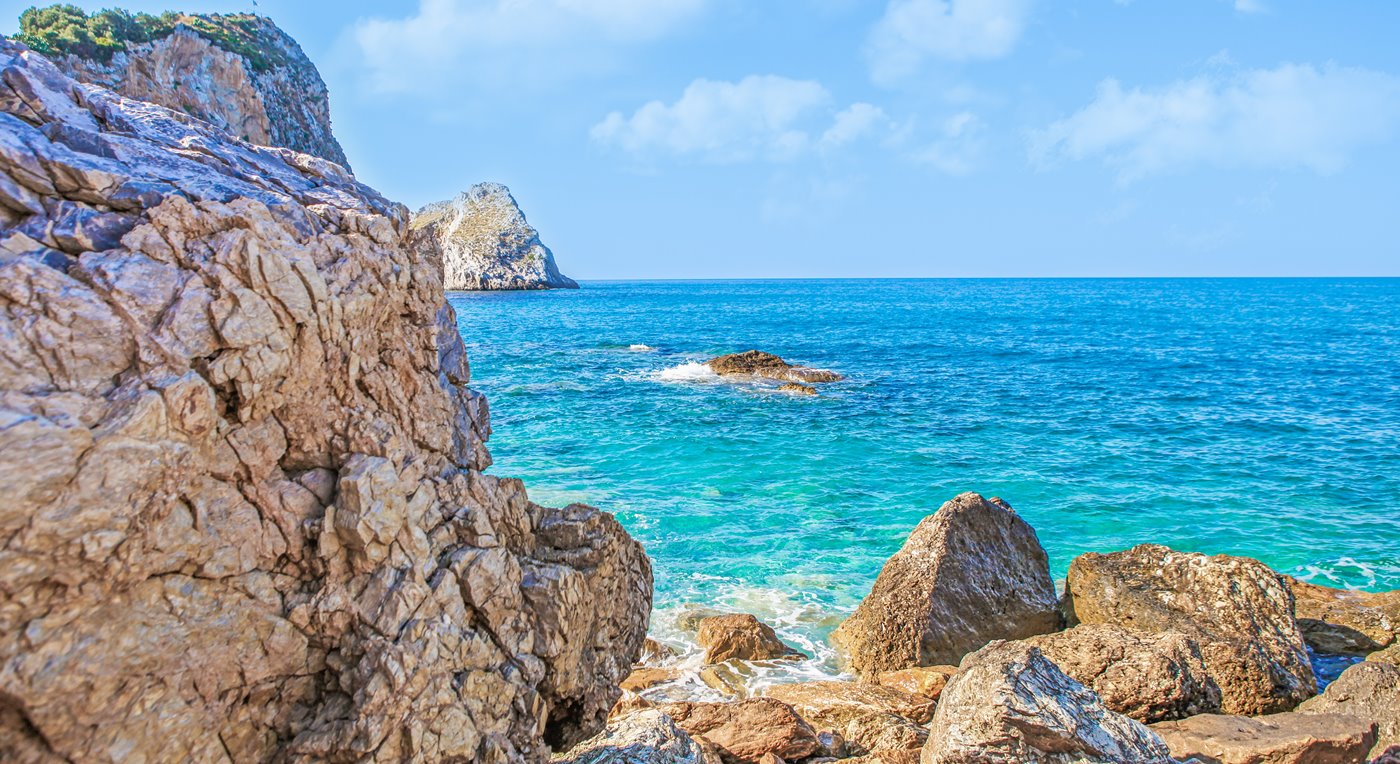 Nick Karvounis 45393