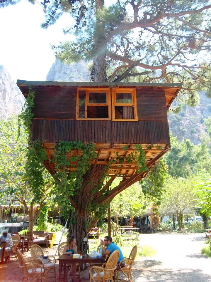 Treehouse near Saklikent Gorge