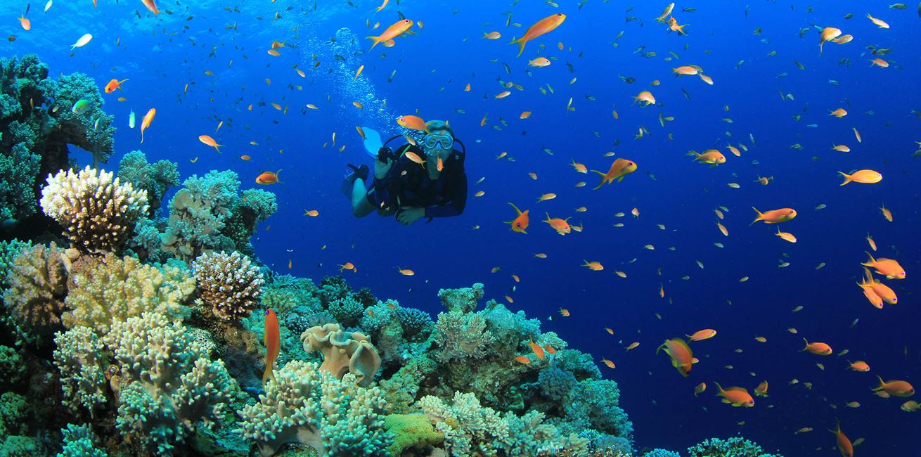 Scuba Diving Oludeniz Turkey