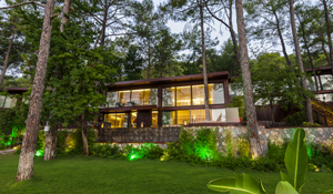 Executive Villa