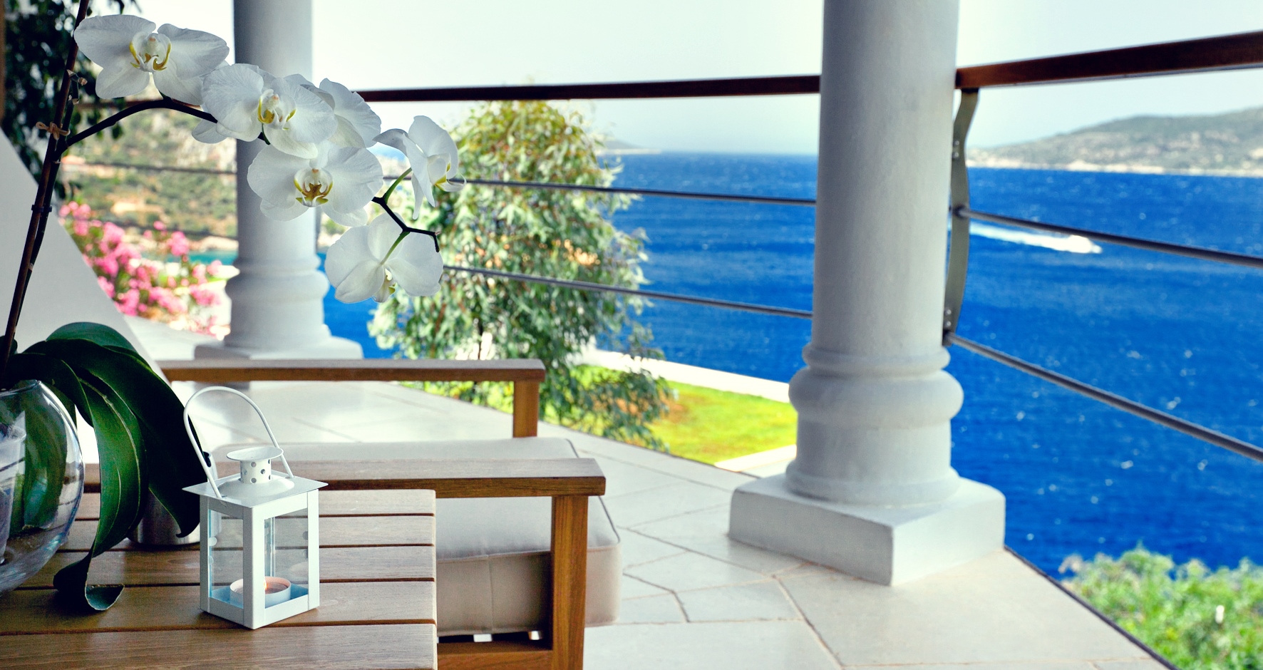 Moonlight Standard 103 6 