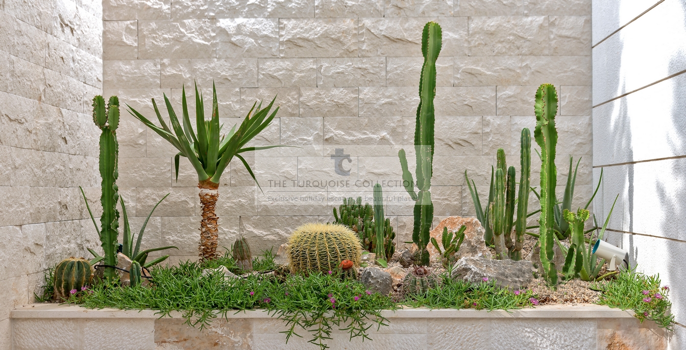 CSB 7913 VILLA MILA BRAC X Copy