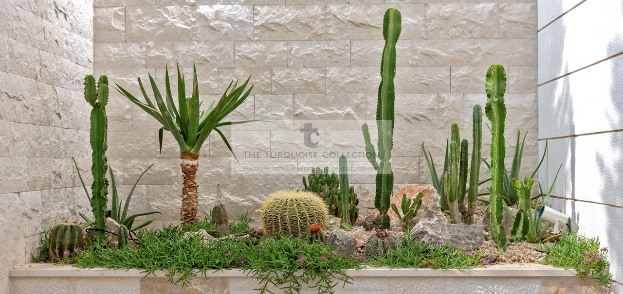 CSB 7913 VILLA MILA BRAC X Copy