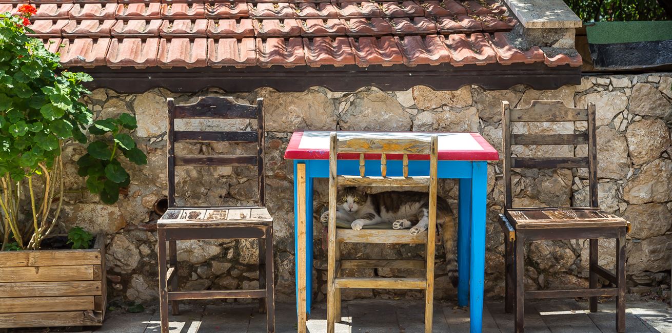 Turquois Collection Kalkan Devrim Celebi 12