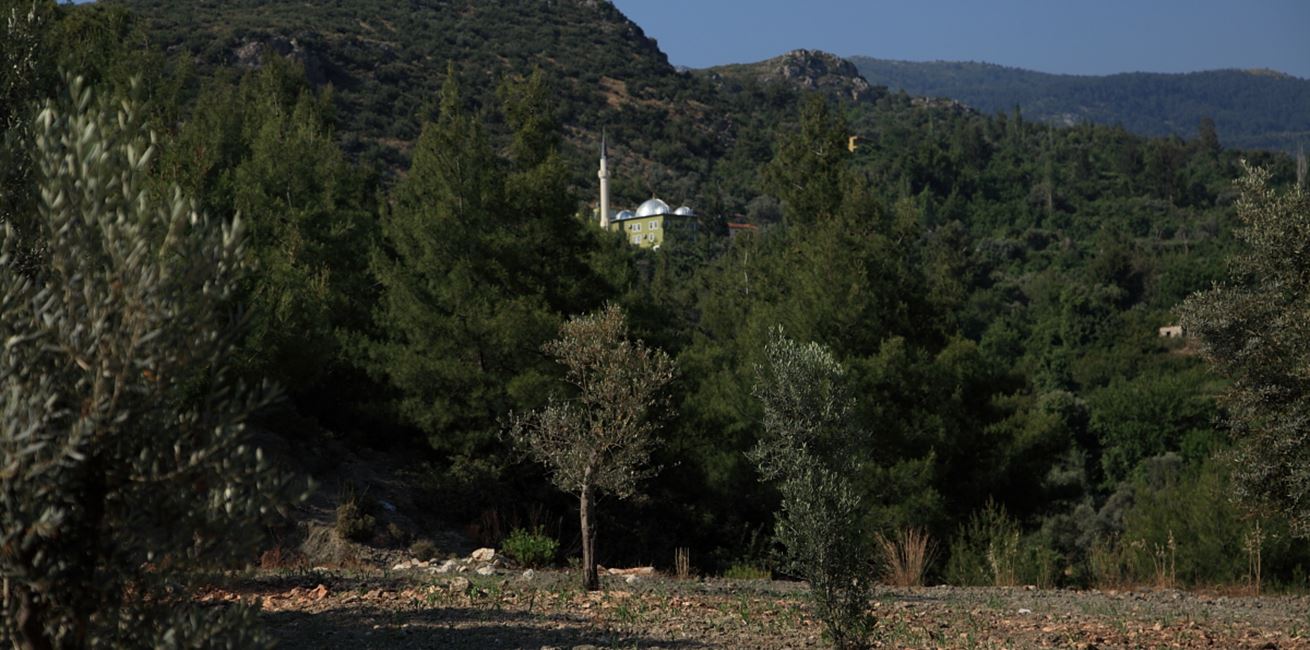 Mosque in Islamlar
