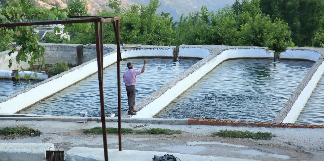 Trout farms in Islamlar