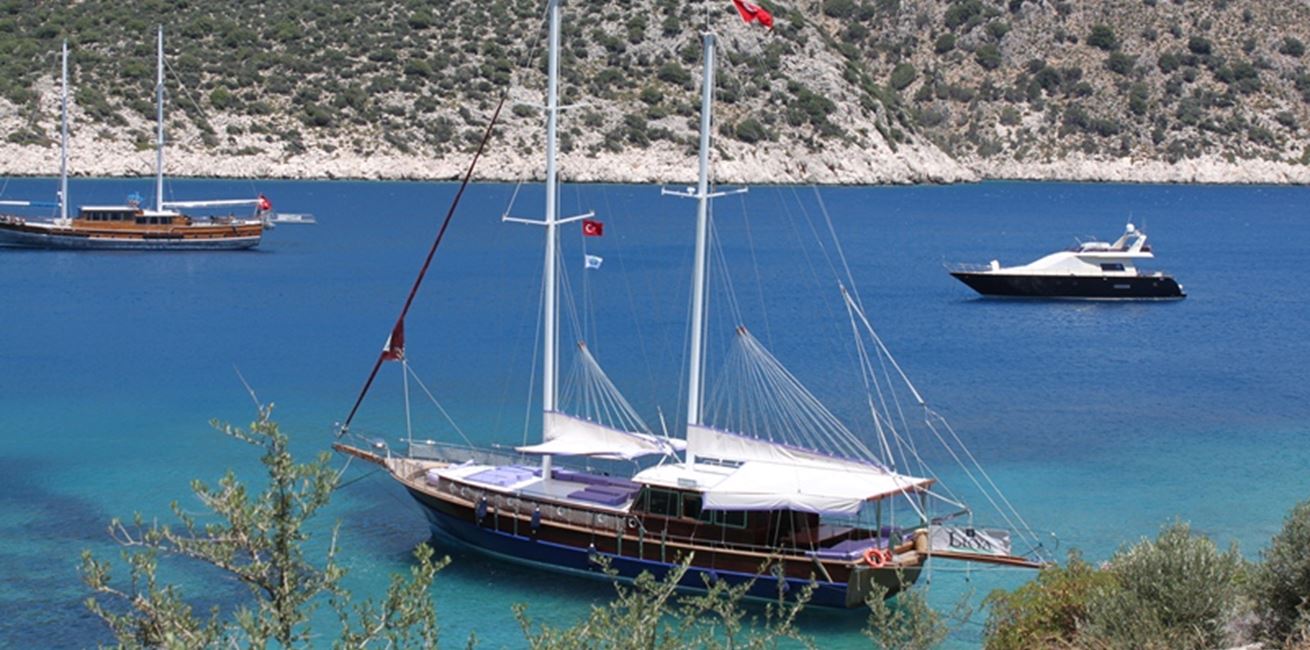Arrange a private day trip on the Emir Gulet