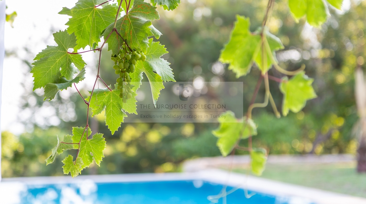 Villa Tranquility Islamlar Kalkan The Turquoise Collection 30