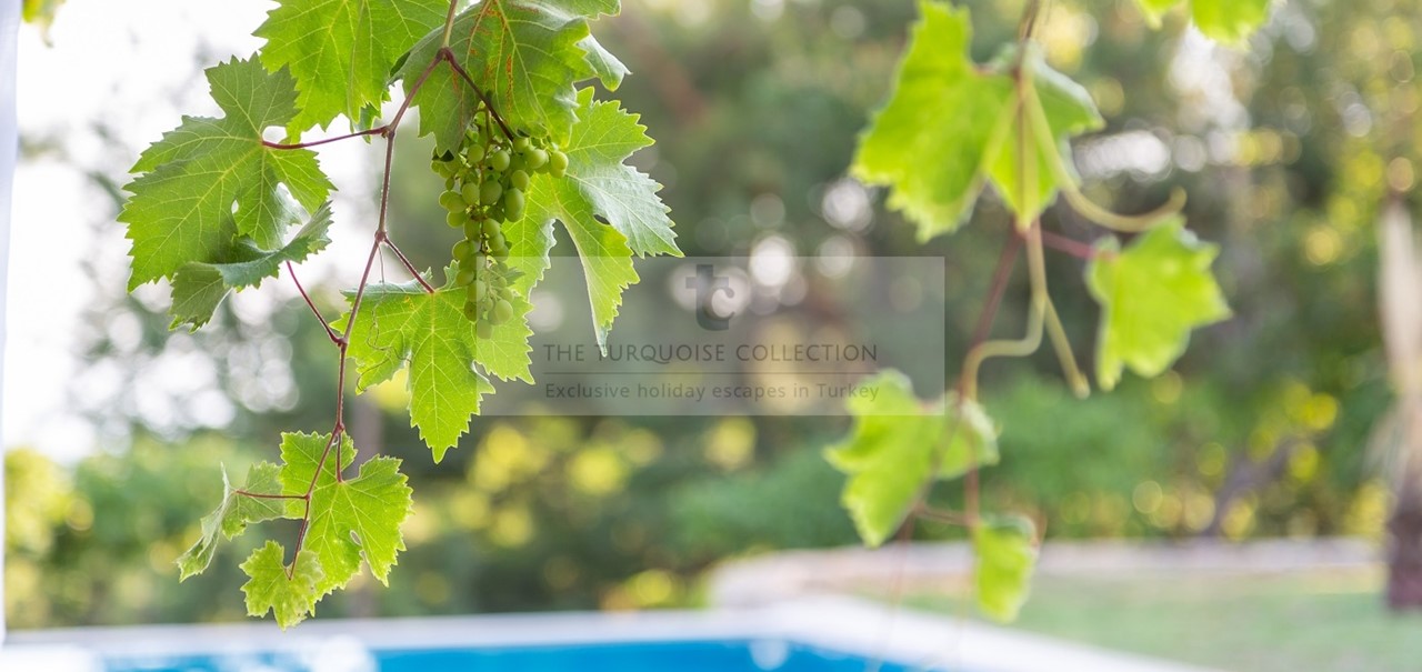 Villa Tranquility Islamlar Kalkan The Turquoise Collection 30