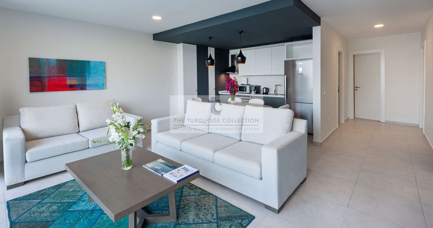 Family Terrace Residence With Garden Jacuzzi Living Room1 Copy