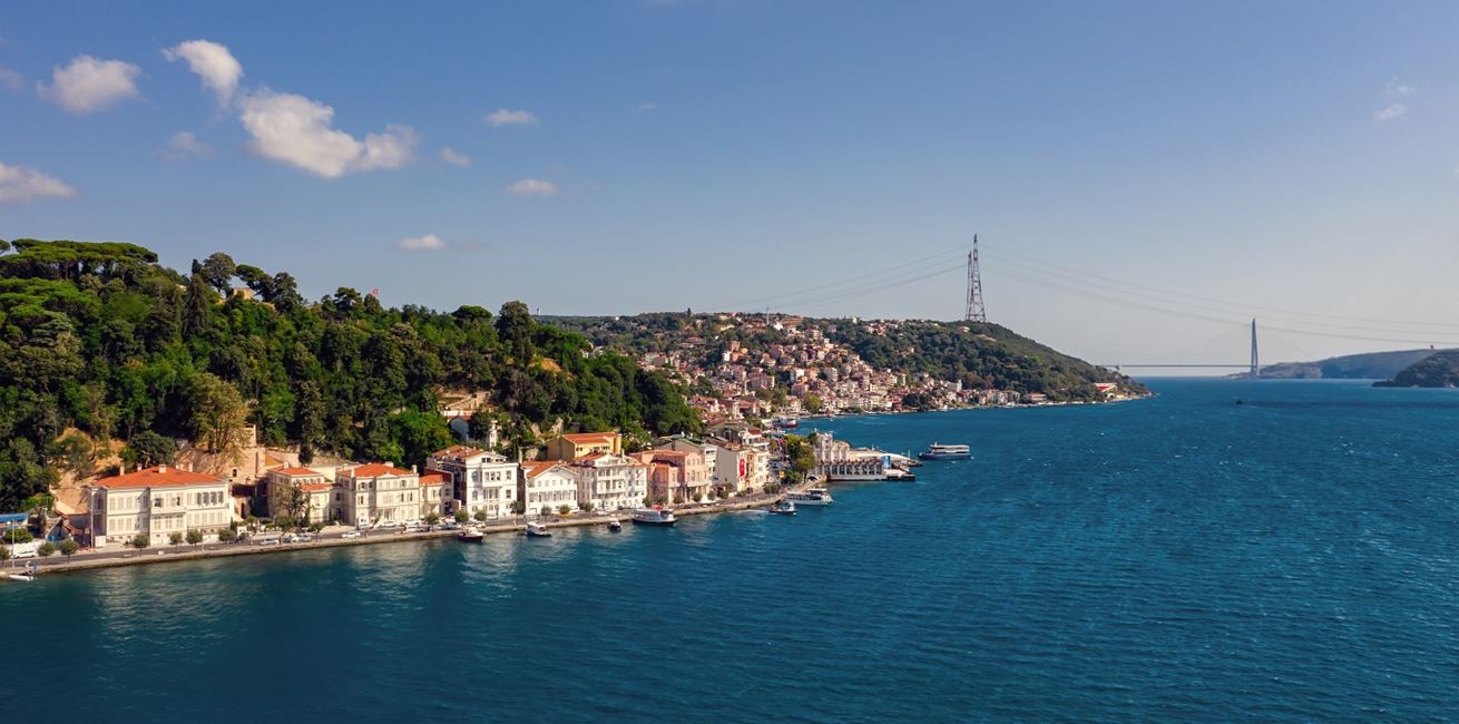 Aerial View Of Bosphorus 8714 ORIGINAL