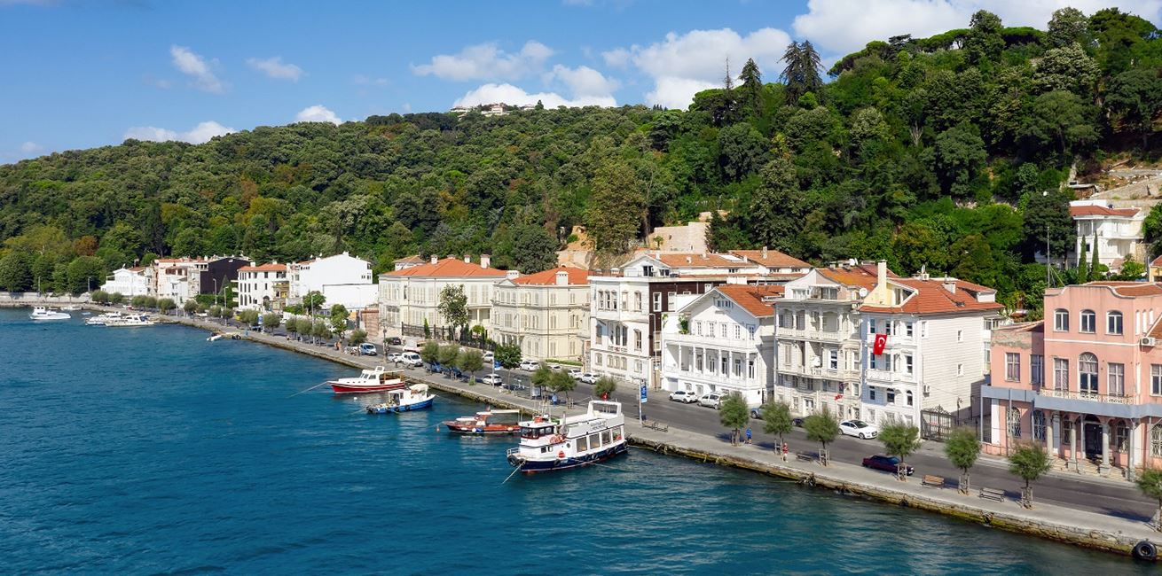 Aerial View Of Bosphorus2 8715 ORIGINAL