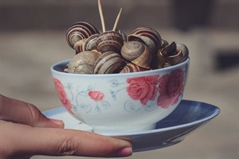 Babbouche - Moroccan Snails