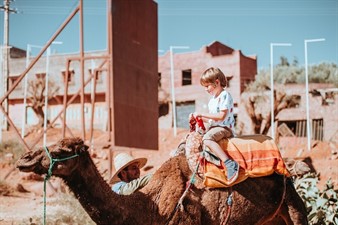 Camel Ride