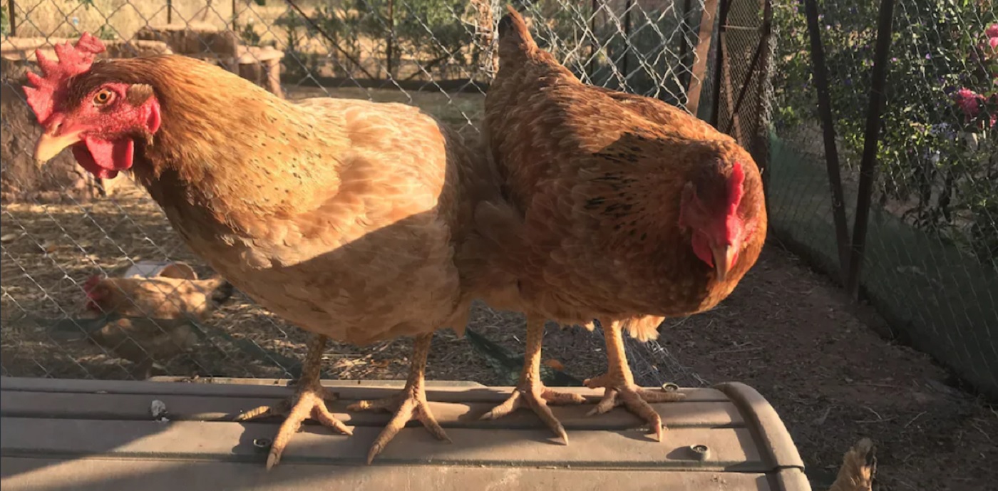 014 Villa Flo Outside