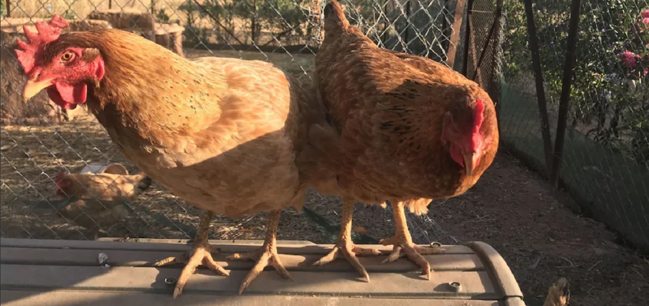 014 Villa Flo Outside