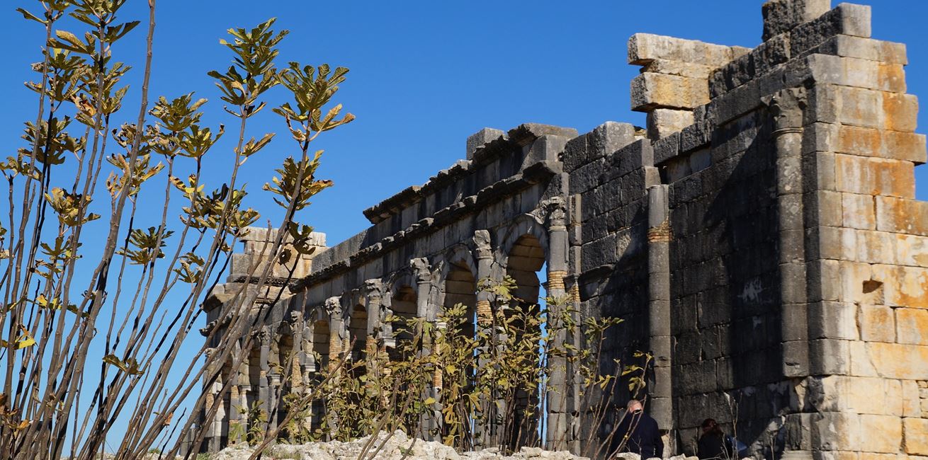 Volubilis Pixabay Ruins 1005539 1920