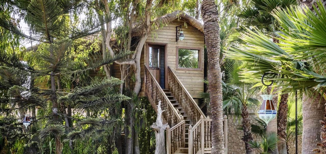 Tree House Suite