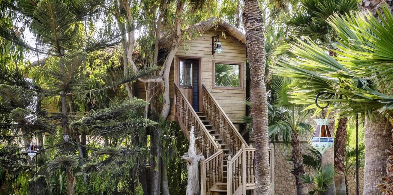 Tree House Suite