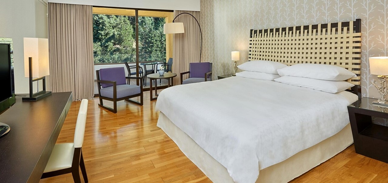 King Garden View Room