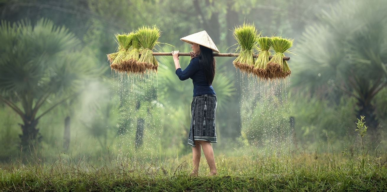 Tree Water Nature Forest Grass Outdoor 1271248 Pxherecom