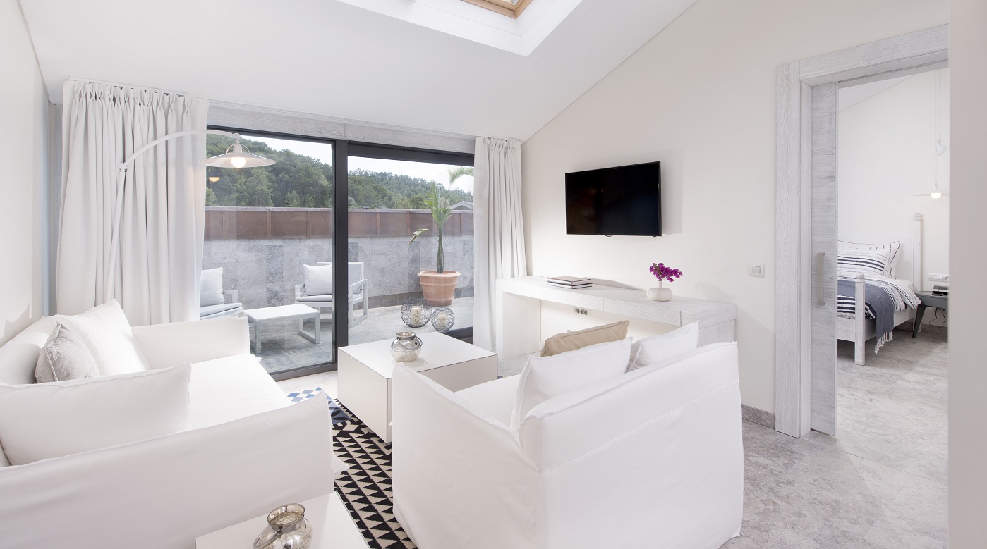 Attic Suite Living Room 0001 Terrace