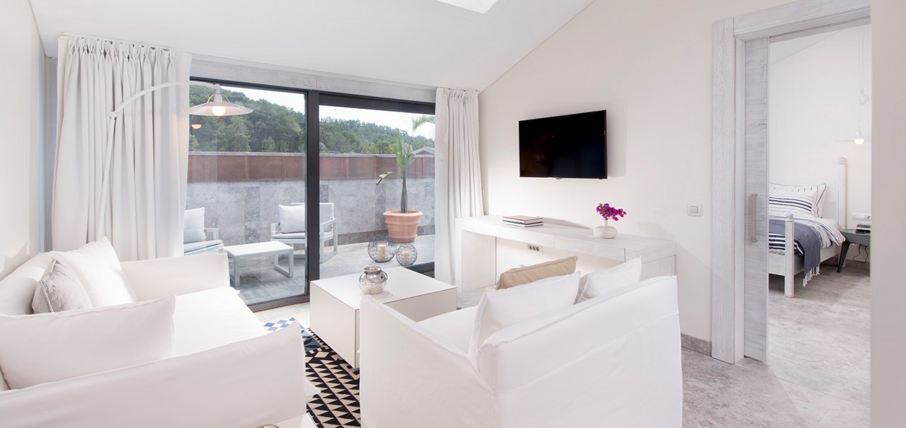 Attic Suite Living Room 0001 Terrace