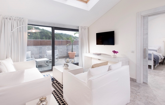 Attic Suite Living Room 0001 Terrace