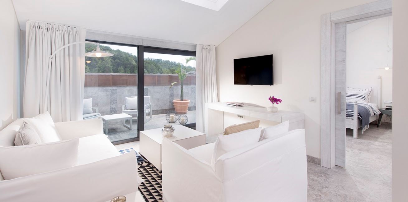 Attic Suite Living Room 0001 Terrace