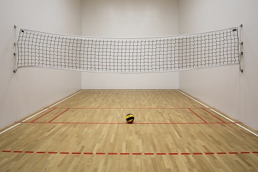 Wallyball