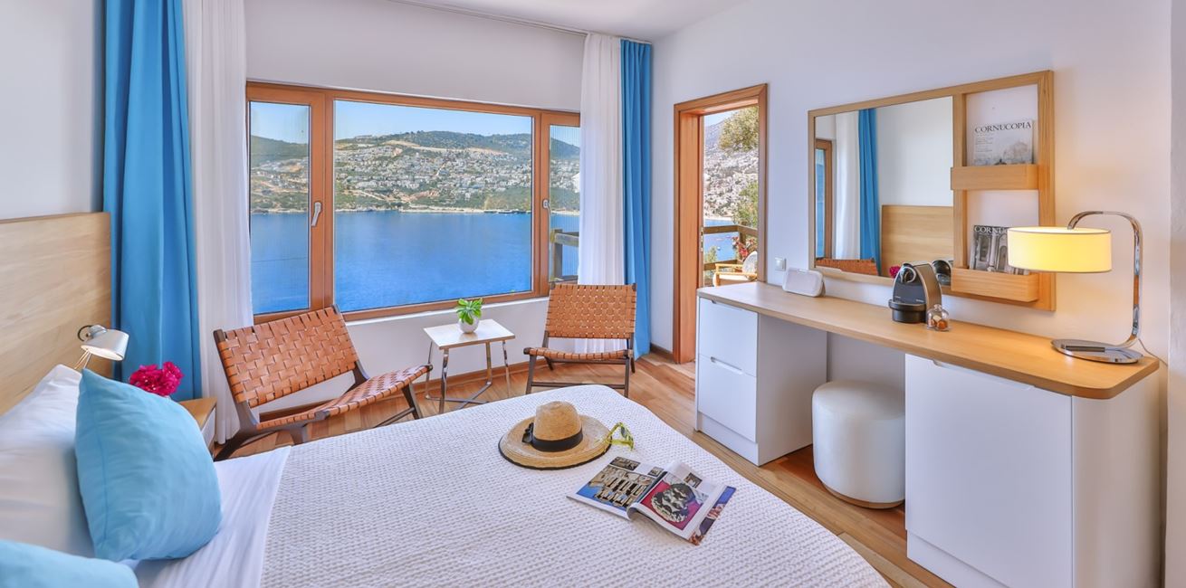 105 Moonlight Deluxe Hotel Villa Mahal 3