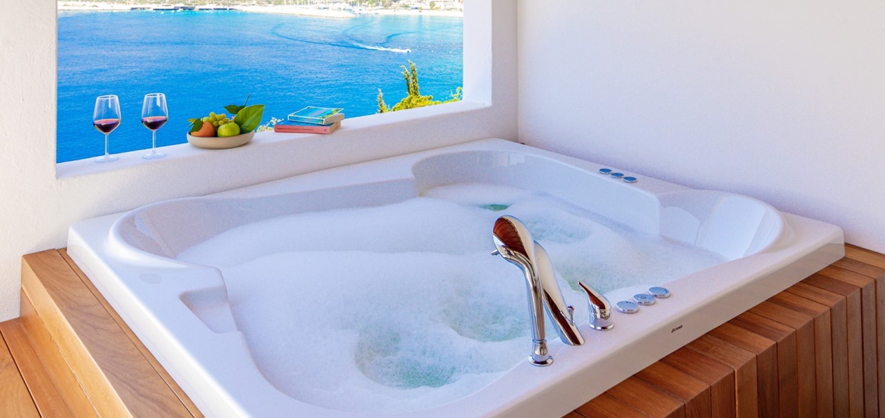 106 Moonlight Hotel Villa Mahal 1