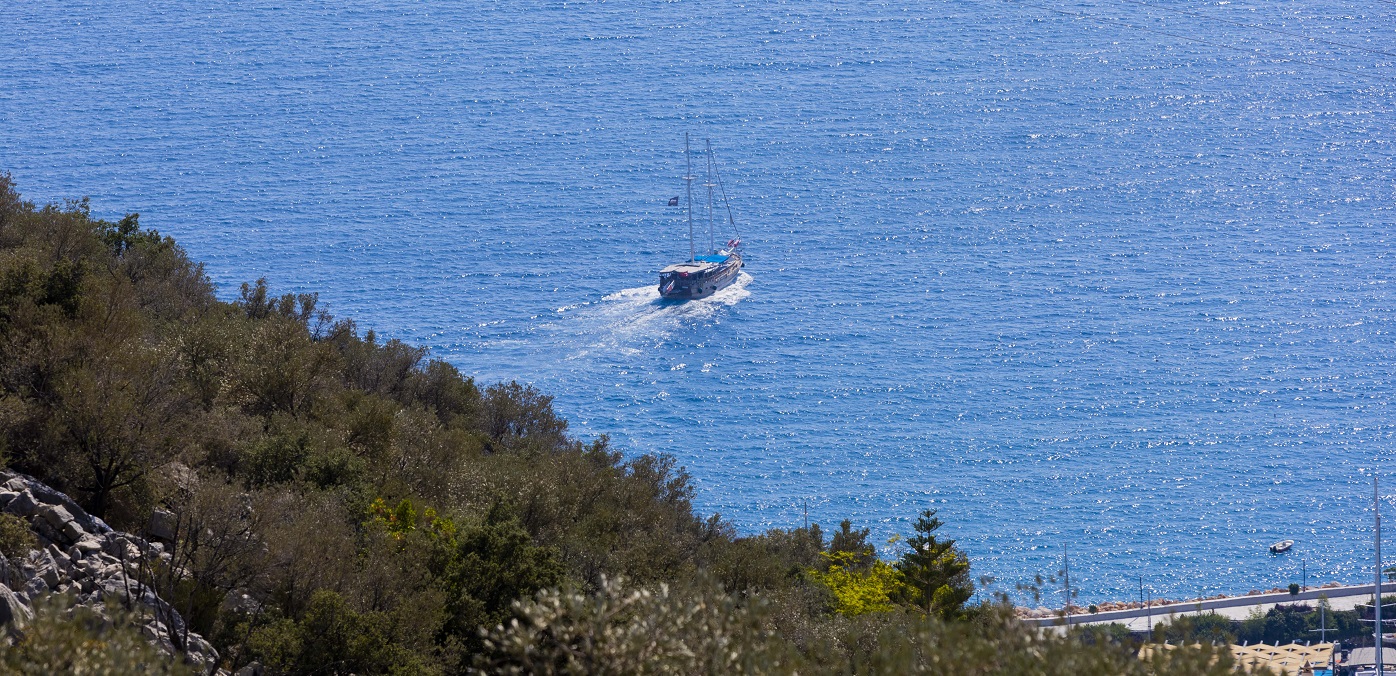 Villa Mini Arden NEW 17