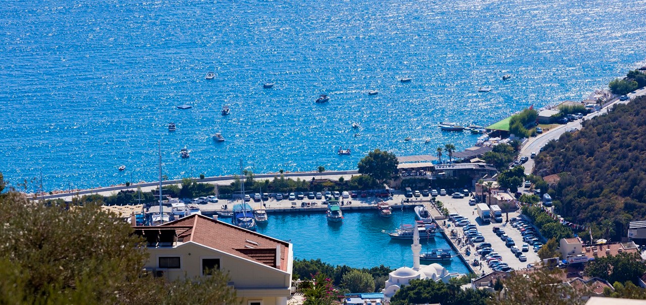 Villa Mini Arden NEW 18