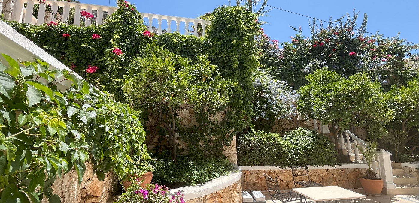 VK11 Front Garden Showing Steps Down From Gate 