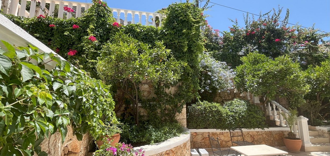 VK11 Front Garden Showing Steps Down From Gate