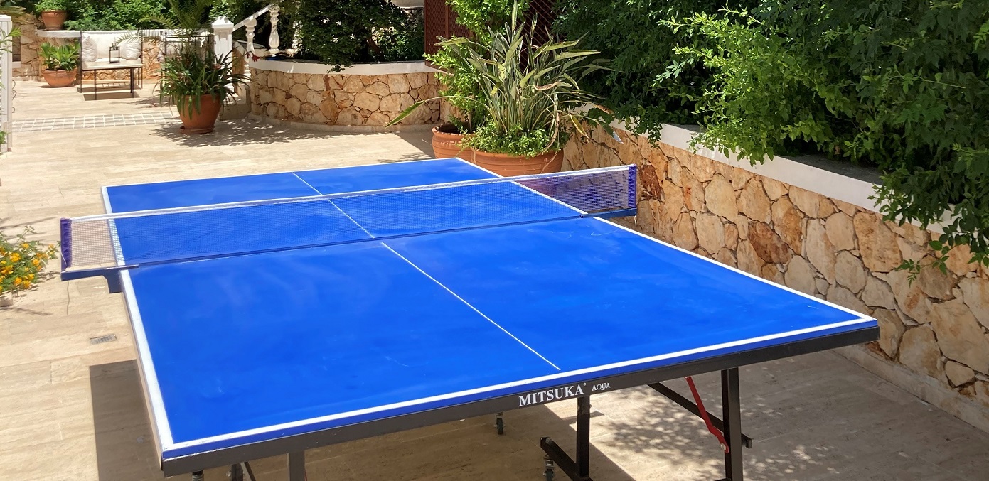 VK15 Table Tennis On Site 