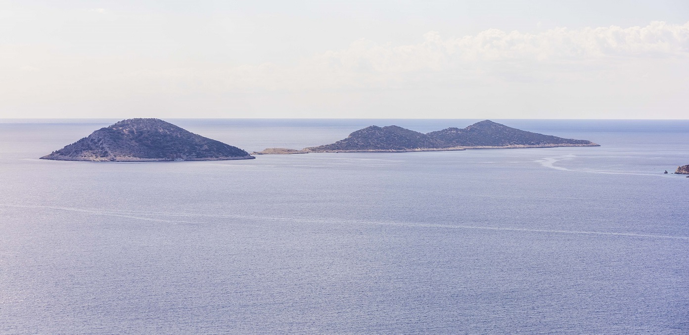 The Olive House Kalkan 7