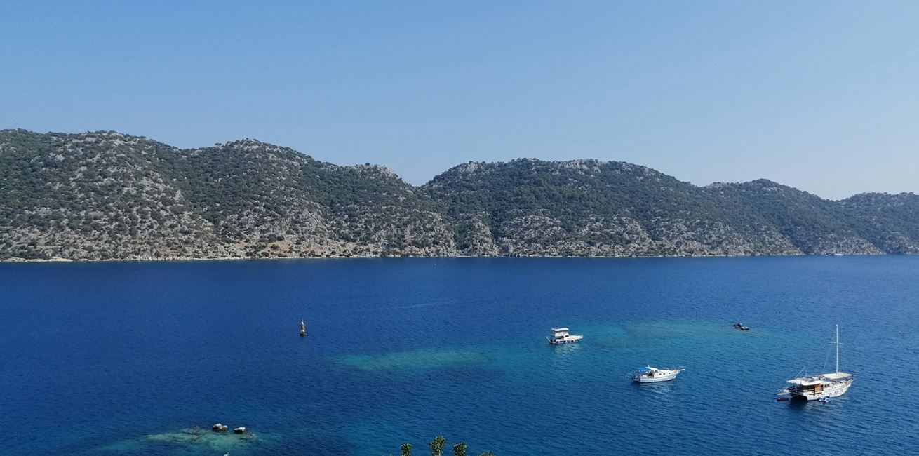 Cropped Mehmet Bicakci Lytra6xk Qo Unsplash