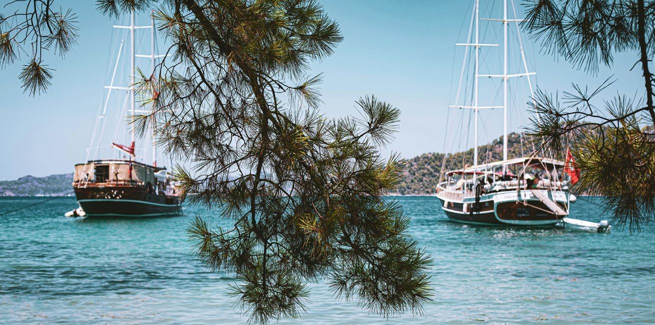 Free Selimiye Photo 2