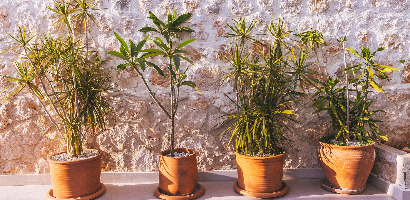 Villa Eliza Kalamar Kalkan 59