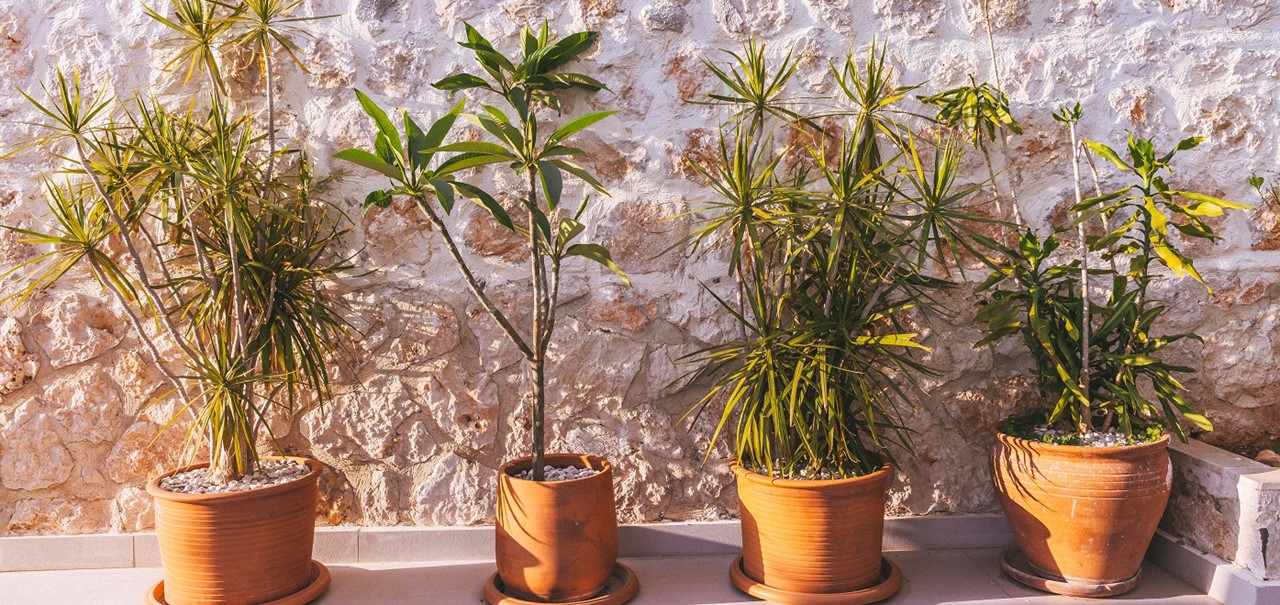 Villa Eliza Kalamar Kalkan 59