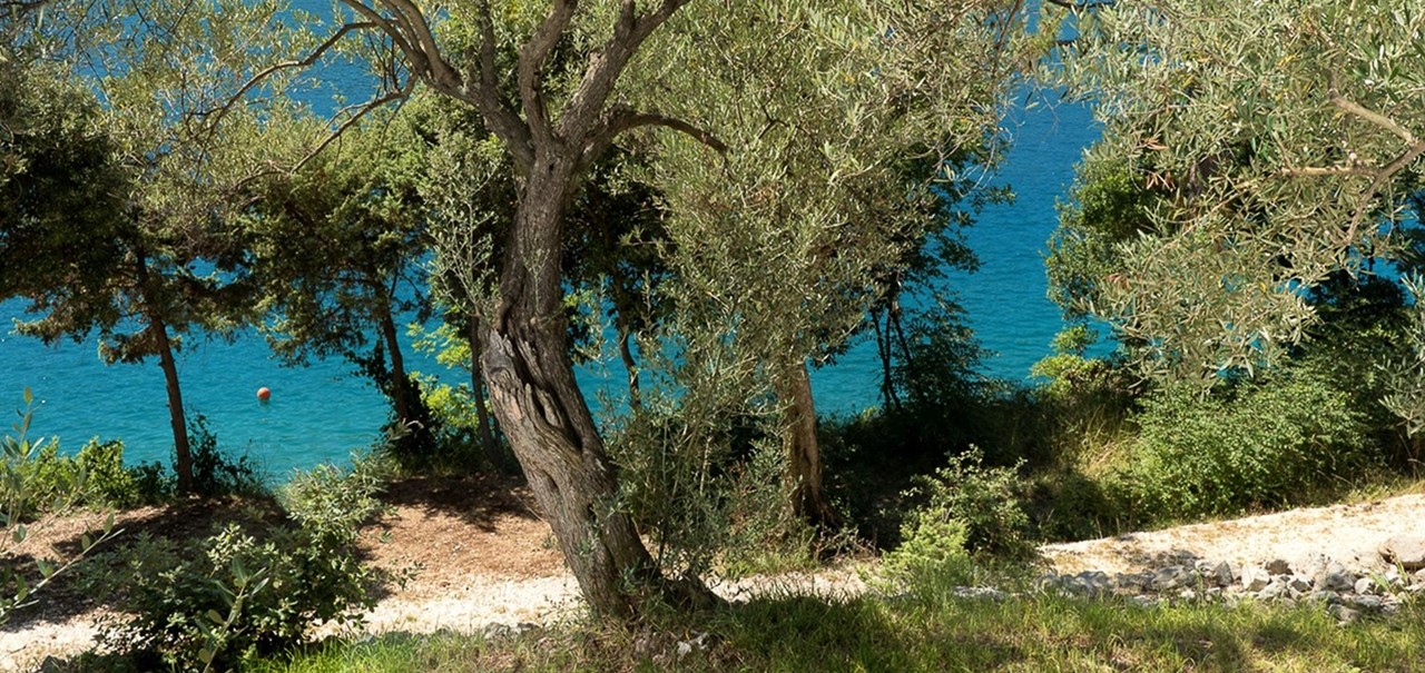 Outside Garden Villa 108 75