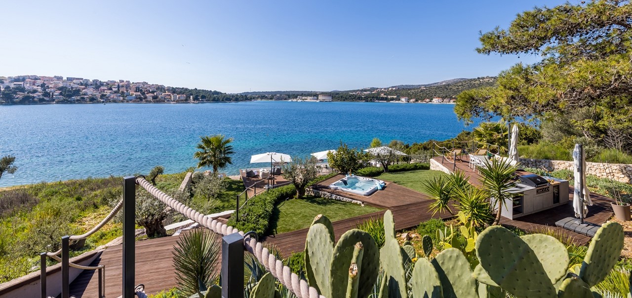 Olive Vista 5